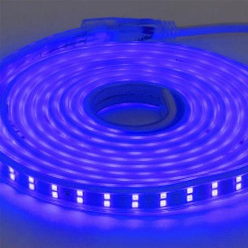[081-006-0001BL] Banda Led Exterior 5M 2835 Albastra IP65 3,9W, 290Lm 156 leduri pe metru Colorado